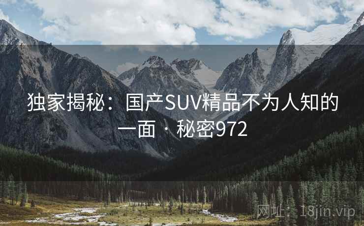 独家揭秘：国产SUV精品不为人知的一面 · 秘密972