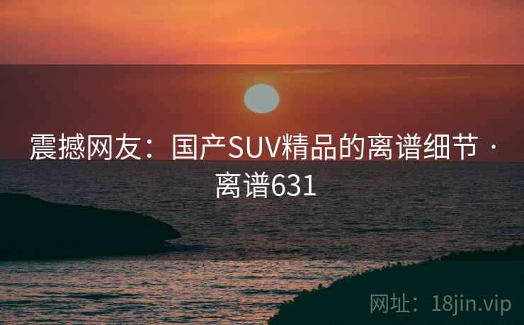 震撼网友：国产SUV精品的离谱细节 · 离谱631